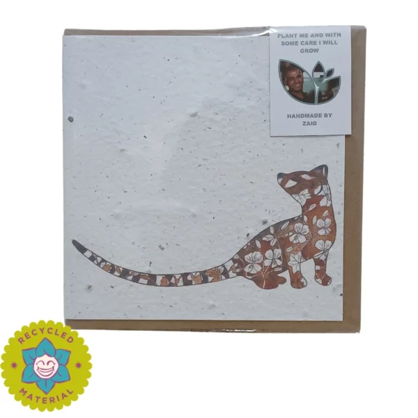 Growing Paper Greeting Card - African Story African Cat