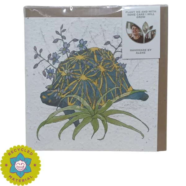 Growing Paper Greeting Card - African Story Tortoise