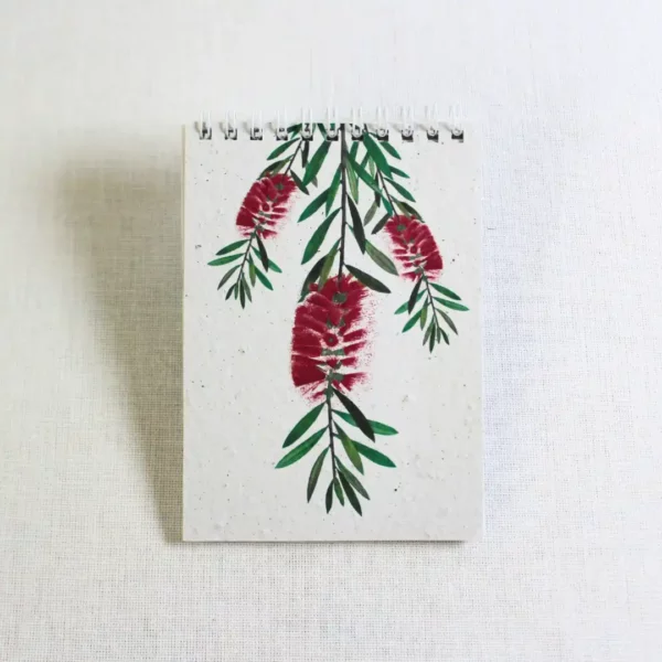 three bottlebrush blooms