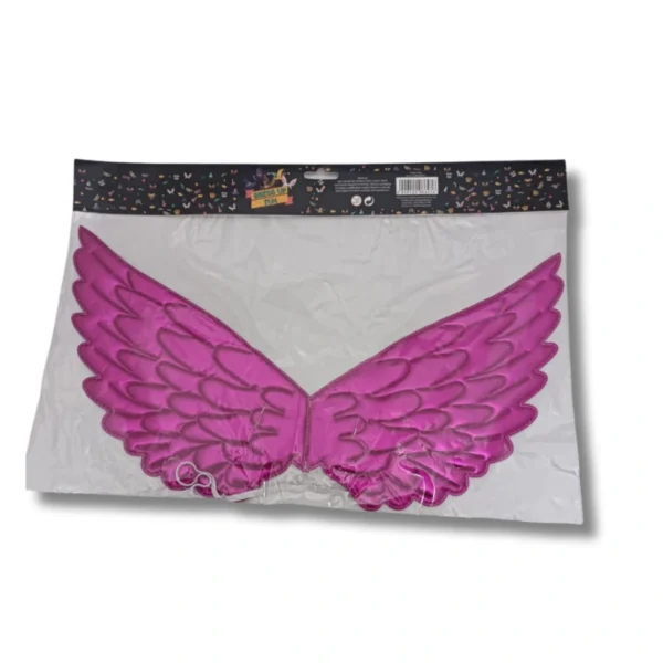 Dress up Unicorn Wings