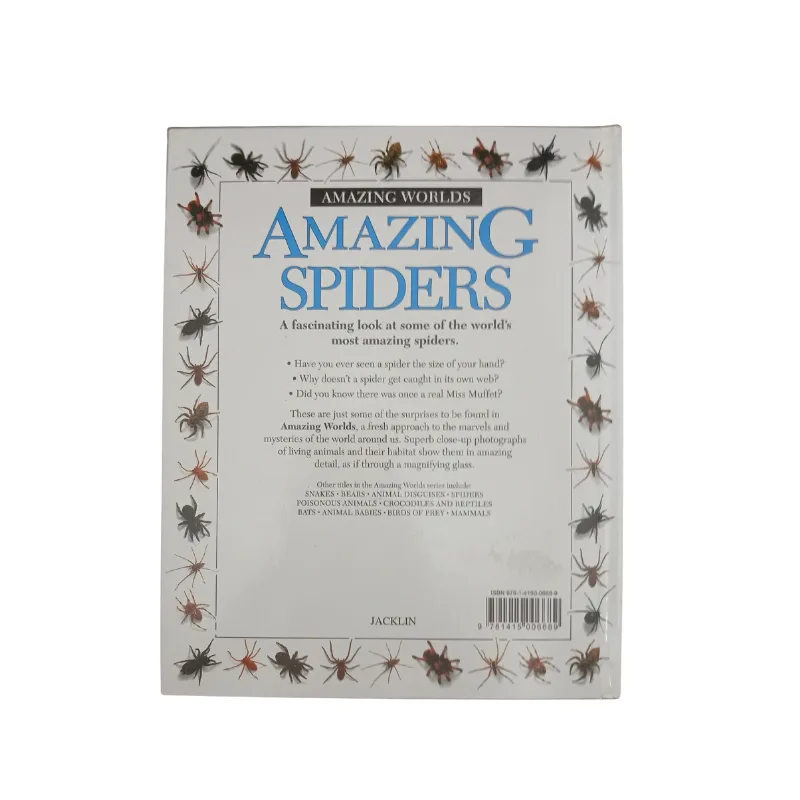 Amazing World - Amazing Spiders - Image 2